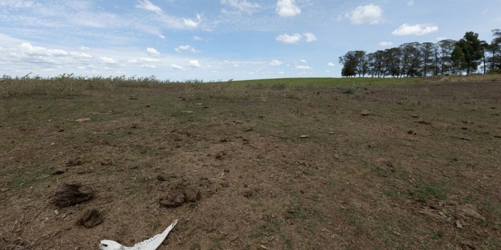 Seca persiste em 1,9 mil municípios brasileiros