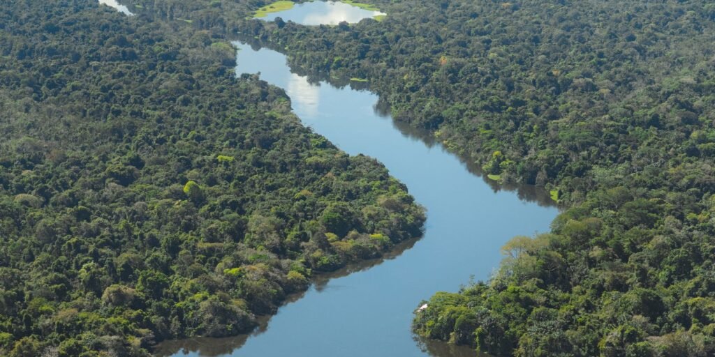 Brasília vai sediar 5ª Conferência Nacional do Meio Ambiente