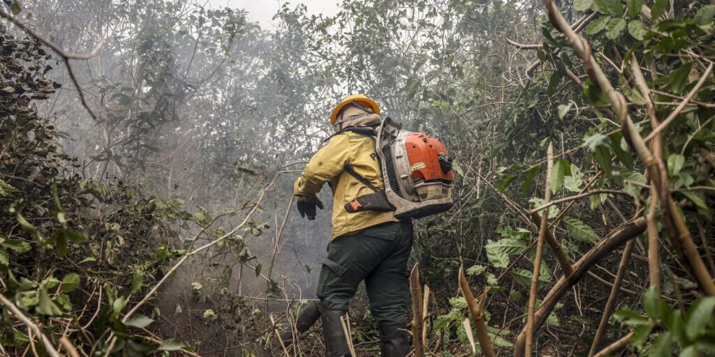 Ibama inicia operação de prevenção e combate a queimadas no Pantanal