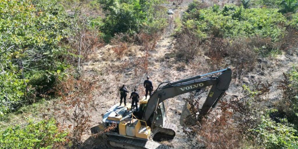 Mineração ilegal e tráfico de animais serão crimes de maior gravidade