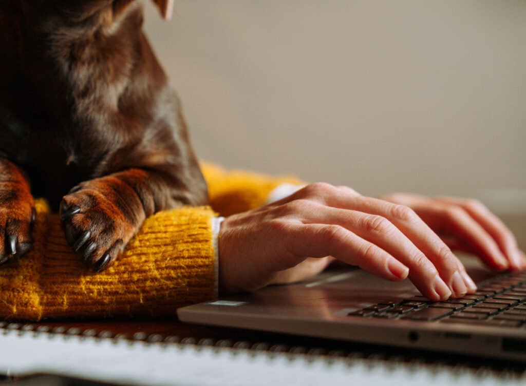 Nova lei pode garantir folga para casos de morte de pet Nova lei pode garantir folga para casos de morte de pet