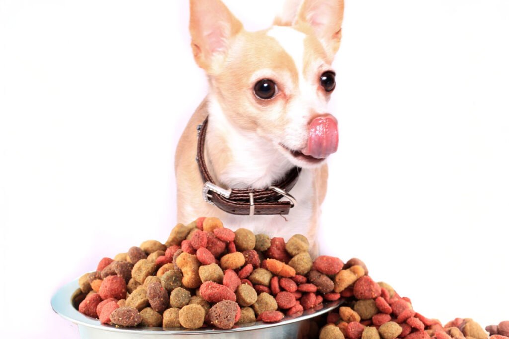 Alimentos naturais e sustentáveis também fazem parte do cuidado eco-friendly com os pets, promovendo saúde e respeito ao meio ambiente.