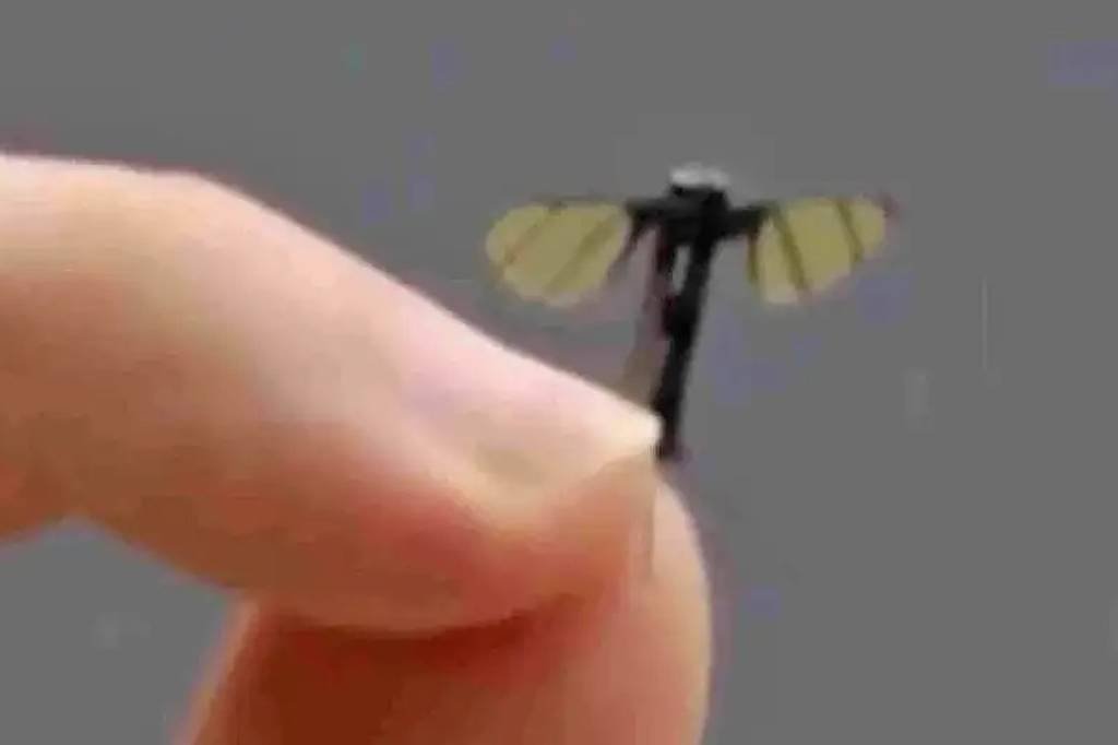 Do tamanho de uma mosca: o novo drone militar da China A imagem mostra um dedo humano segurando um pequeno inseto com asas. O inseto tem um corpo escuro e asas amarelas com listras. O fundo da imagem é cinza, destacando o inseto e o dedo.