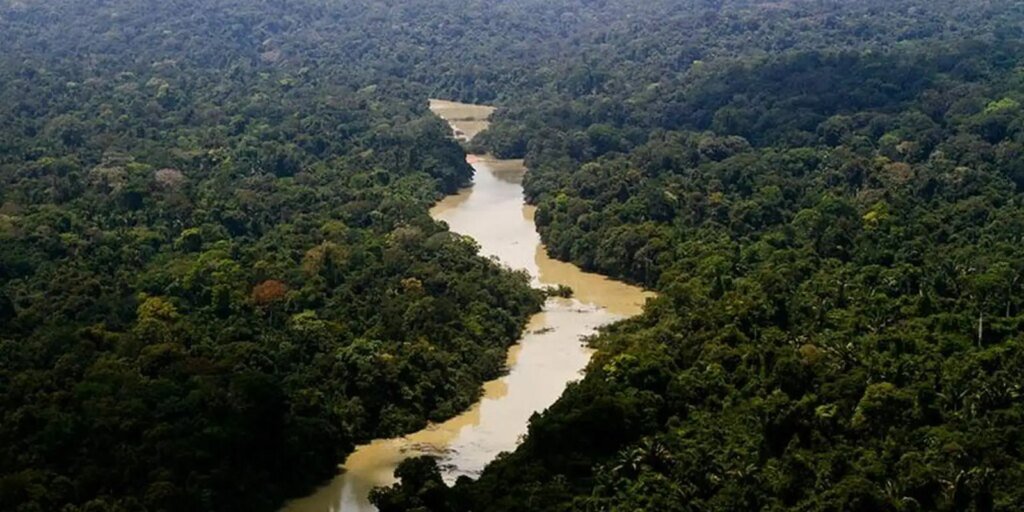 Fundo Amazônia aprova mais de R$ 1 bilhão no primeiro semestre
