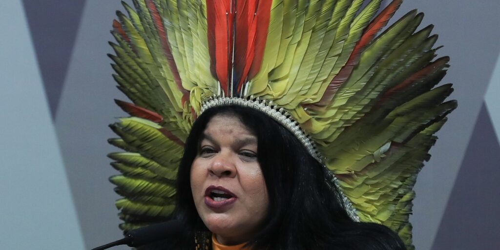No dia do Meio Ambiente, Sonia Guajajara critica "PL da Devastação"