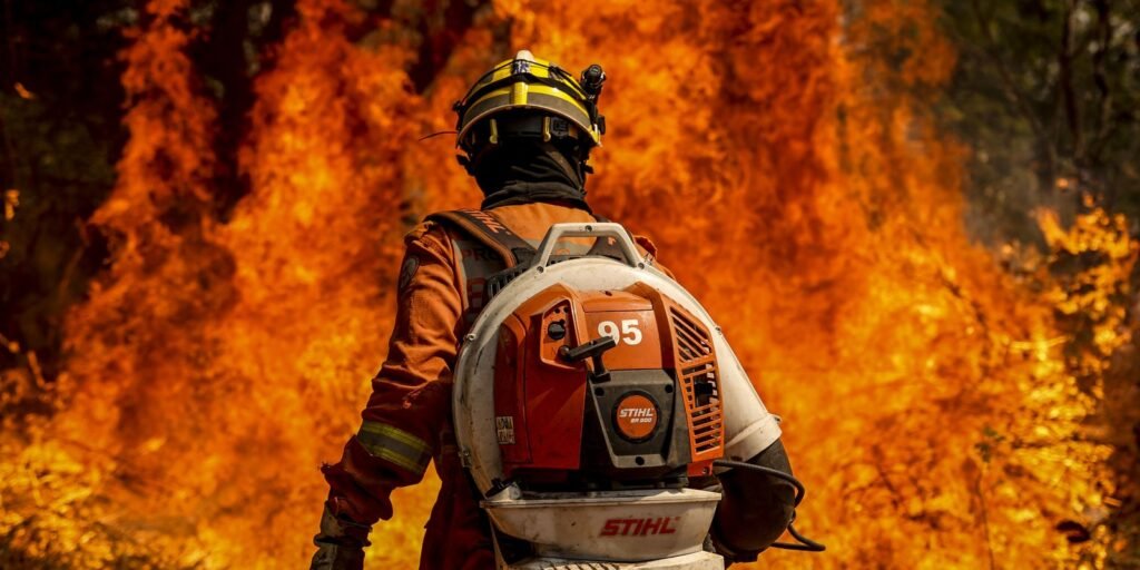 Brasil registra queda no número de áreas queimadas e de focos de calor