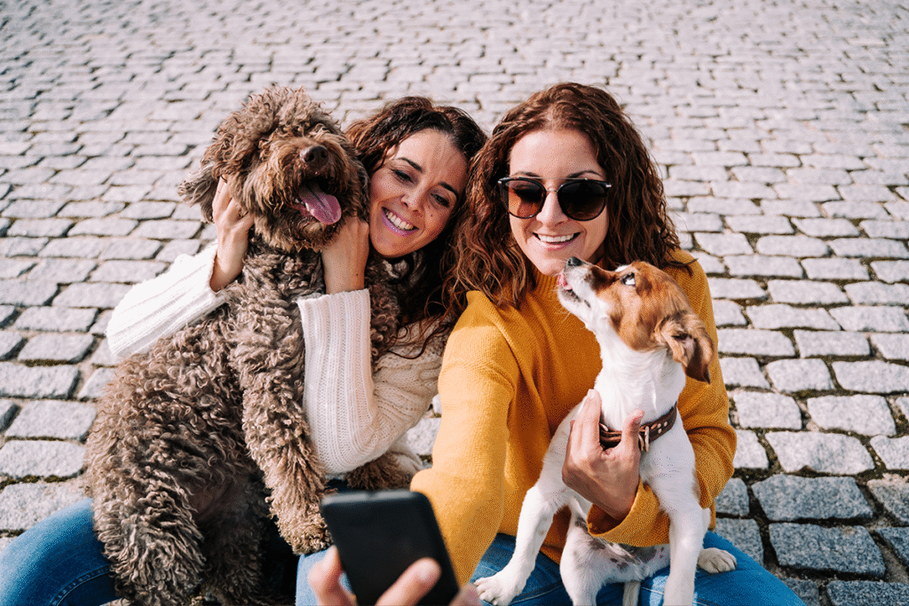 Pets influenciadores conquistam milhões de seguidores com carisma, ajudando marcas a se conectarem com tutores de forma afetiva.