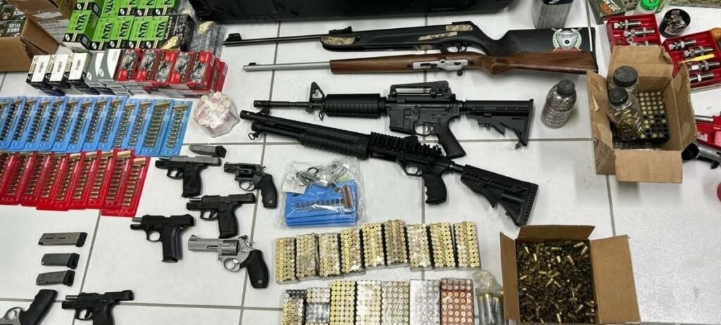 Forças de Segurança apreendem mais de 6 mil armas de fogo de janeiro a novembro deste ano