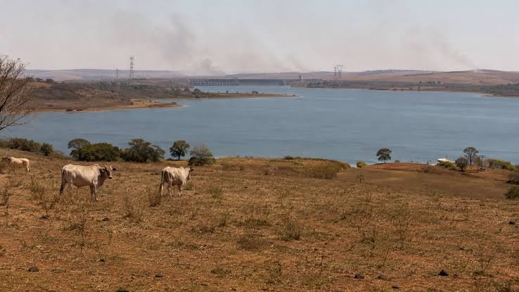 Super El Niño pode provocar ondas de calor, queimadas e chuvas intensas no Brasil até 2027