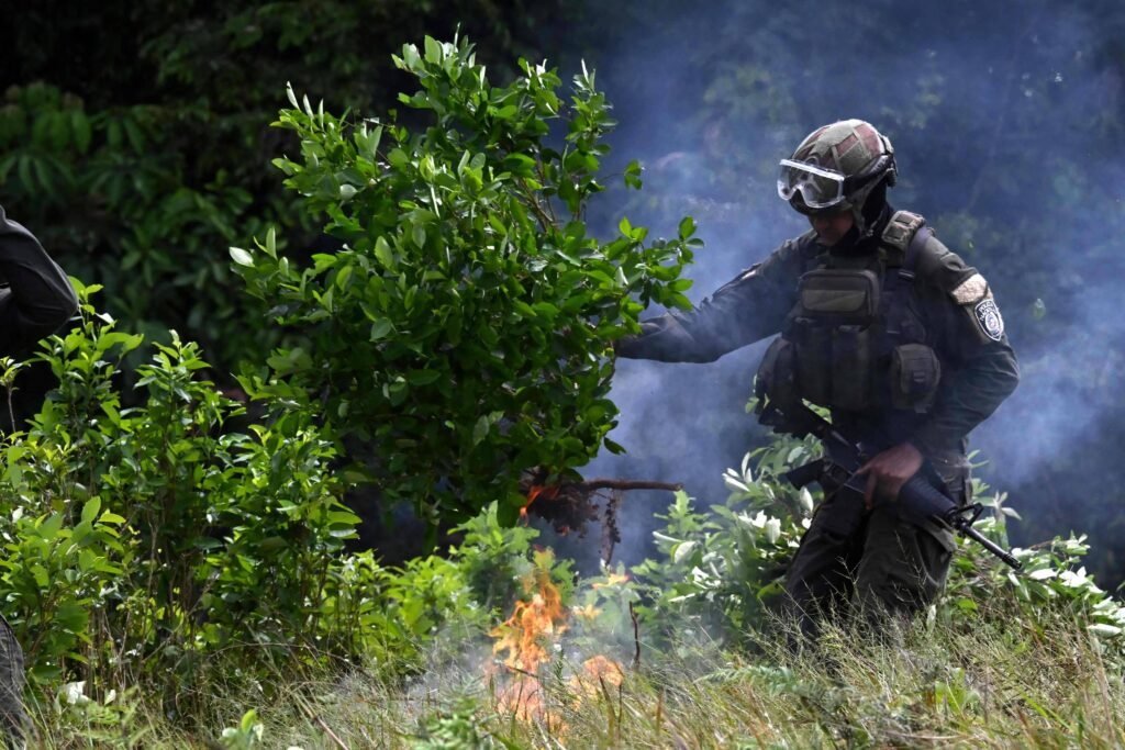 EUA e Colômbia vão realizar ações conjuntas antidrogas – 12/08/2026 – Mundo Soldado com uniforme tático e óculos de proteção manipula arbusto próximo a fogo em vegetação. Fumaça densa envolve a cena em ambiente externo com vegetação ao fundo.