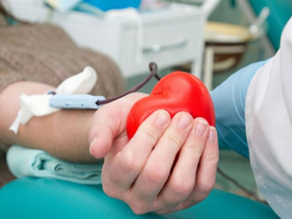 Pessoas acima de 70 poderão continuar doando sangue no Brasil, diz ministério; confira novas regras