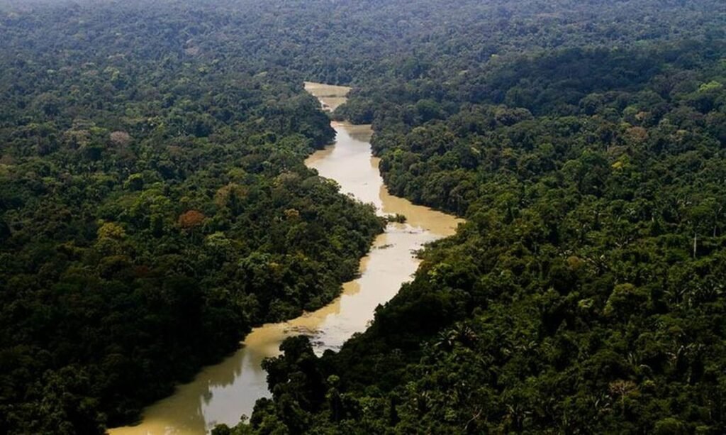 Redução do desmatamento na Amazônia e no Cerrado rendeu até R$ 192 bilhões na economia do Brasil